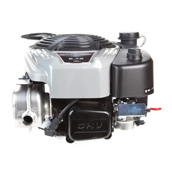 Briggs Stratton Vertical Engine 121S02 2025 F1