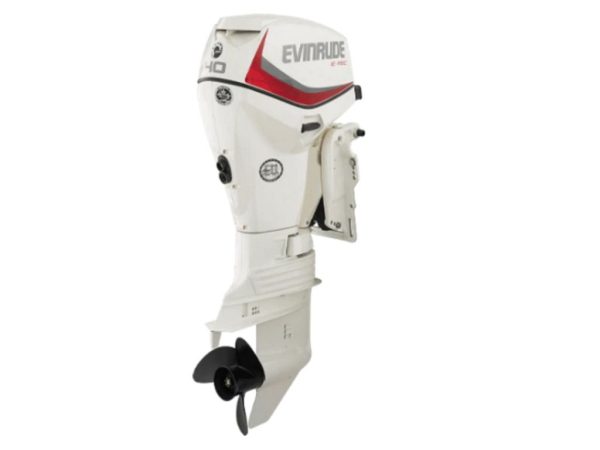 Evinrude E40DGTL