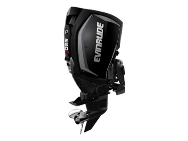 Evinrude H250HGLF 250HO Outboard Motor